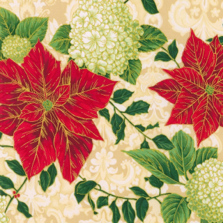 RKF Holiday Flourish - Snow Flower: vánoční hvězda 